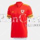 Camiseta Gales Primera Equipacion EURO 2020