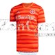 Camiseta Sport Club Internacional Tercera Equipacion 2020-2021