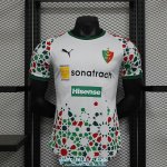Camiseta Authentic MC Alger Segunda Equipacion 2023/2024