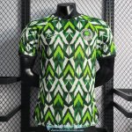 Camiseta Authentic Nigeria Green I 2022/2023