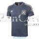 Camiseta Alemania Training Grey 2020-2021