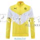 Borussia Dortmund Chaqueta Yellow I 2022/2023
