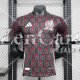 Camiseta Authentic Mexico Segunda Equipacion 2024/2025