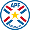 camiseta Paraguay